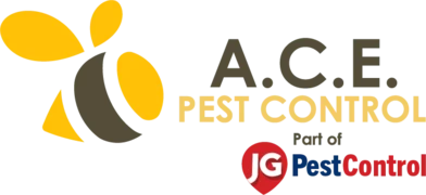 Ace Pest Control logo