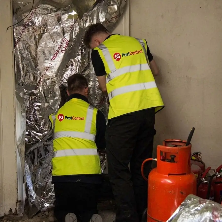 Two JG Pest Control technicians in hi-vis preparing a room for bed bug heat treatment