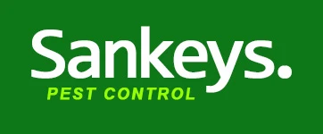 Sankeys logo
